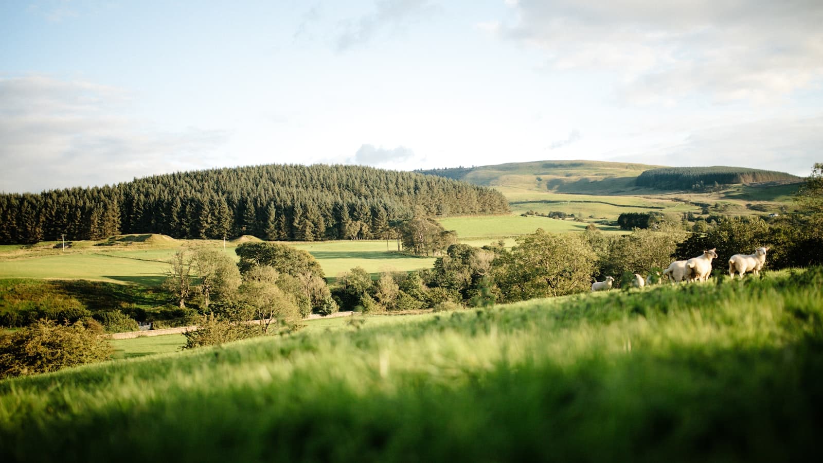 Best Traffic-Free Cycling Days Out in the UK — 14 Family-Friendly Trails