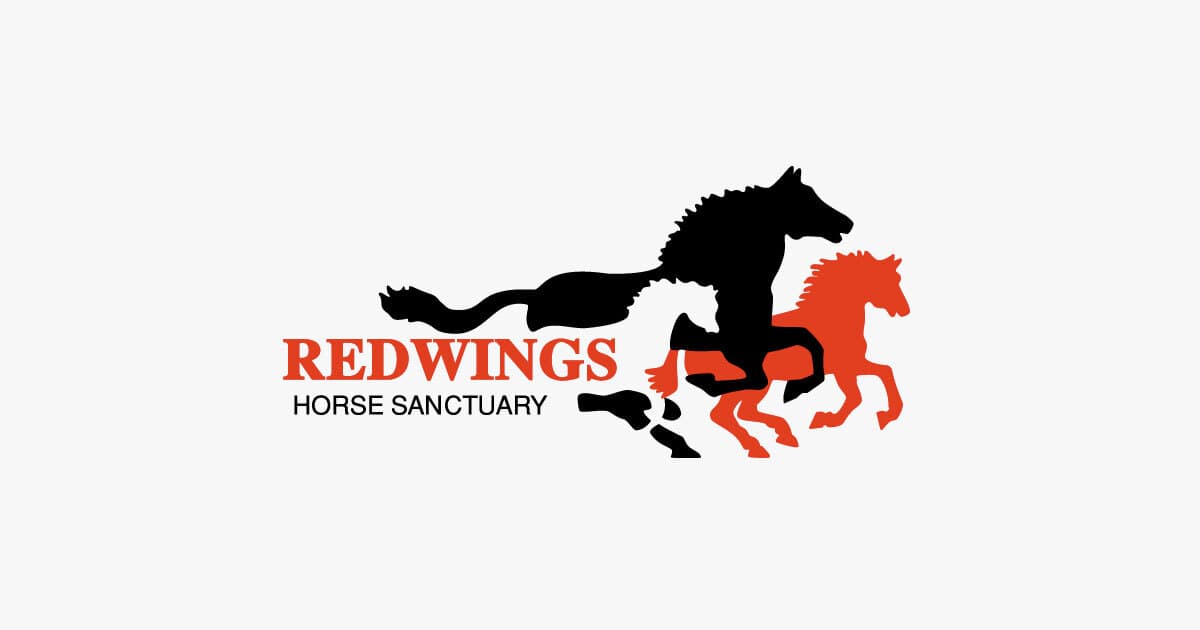 Redwings Horse Sanctuary (Caldecott)